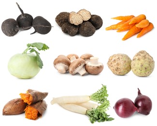 Image of Food products with earthy taste isolated on white, set