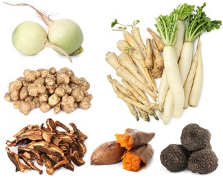 Image of Food products with earthy taste isolated on white, set