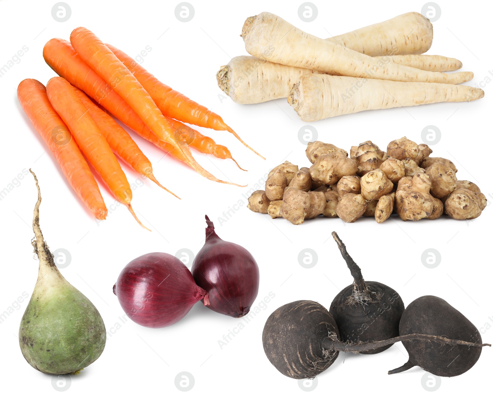 Image of Food products with earthy taste isolated on white, set