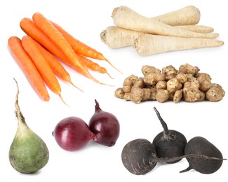 Image of Food products with earthy taste isolated on white, set