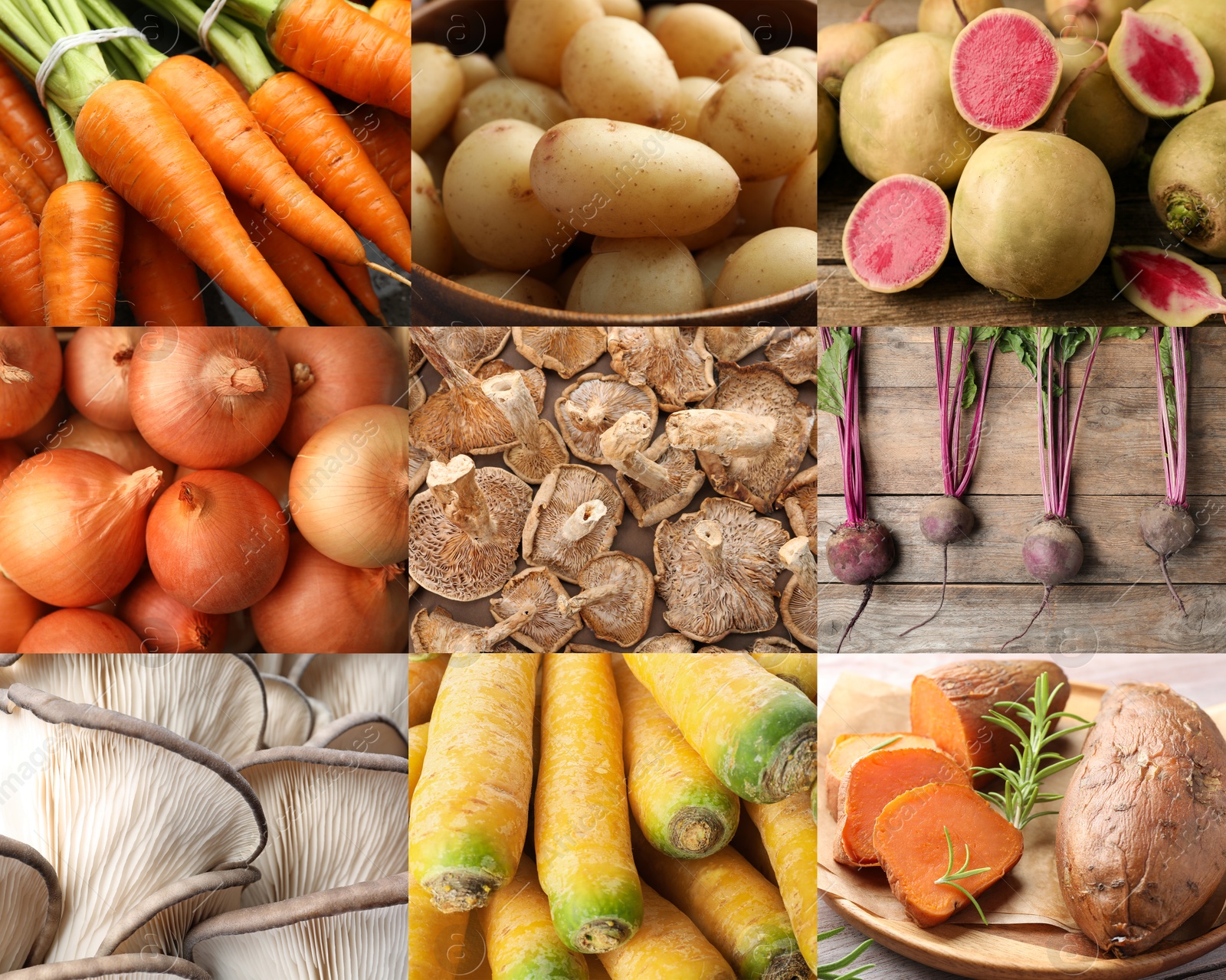 Collection of food products with earthy taste, collage Image of Collection of food products with earthy taste, collage