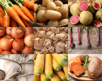 Image of Collection of food products with earthy taste, collage