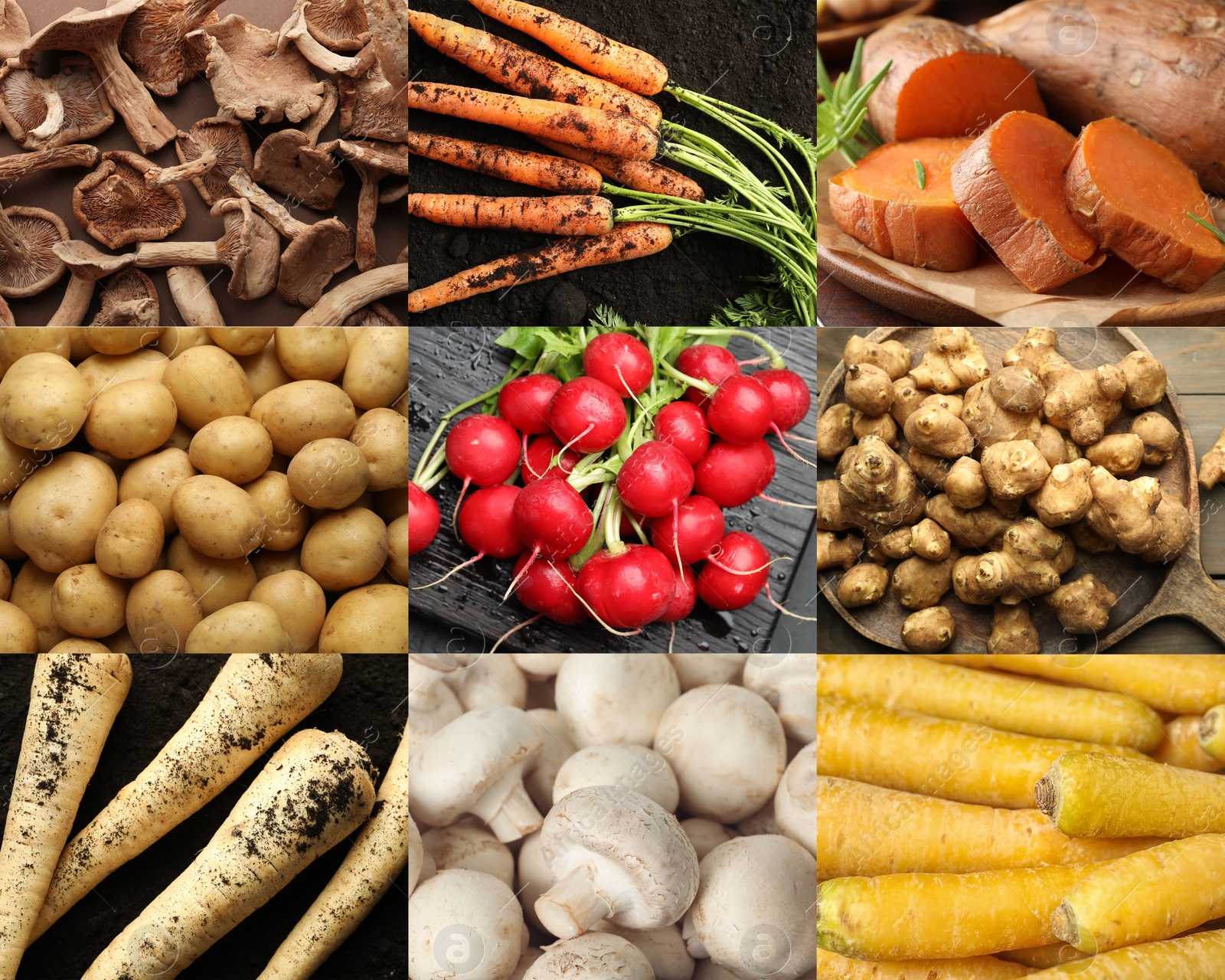 Collection of food products with earthy taste, collage Image of Collection of food products with earthy taste, collage