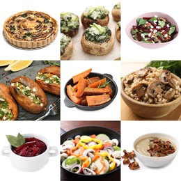 Image of Collection of dishes with earthy taste, collage