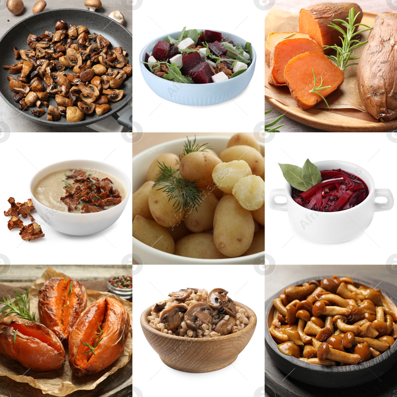 Collection of dishes with earthy taste, collage Image of Collection of dishes with earthy taste, collage