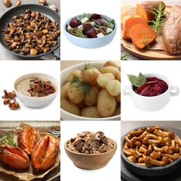 Image of Collection of dishes with earthy taste, collage