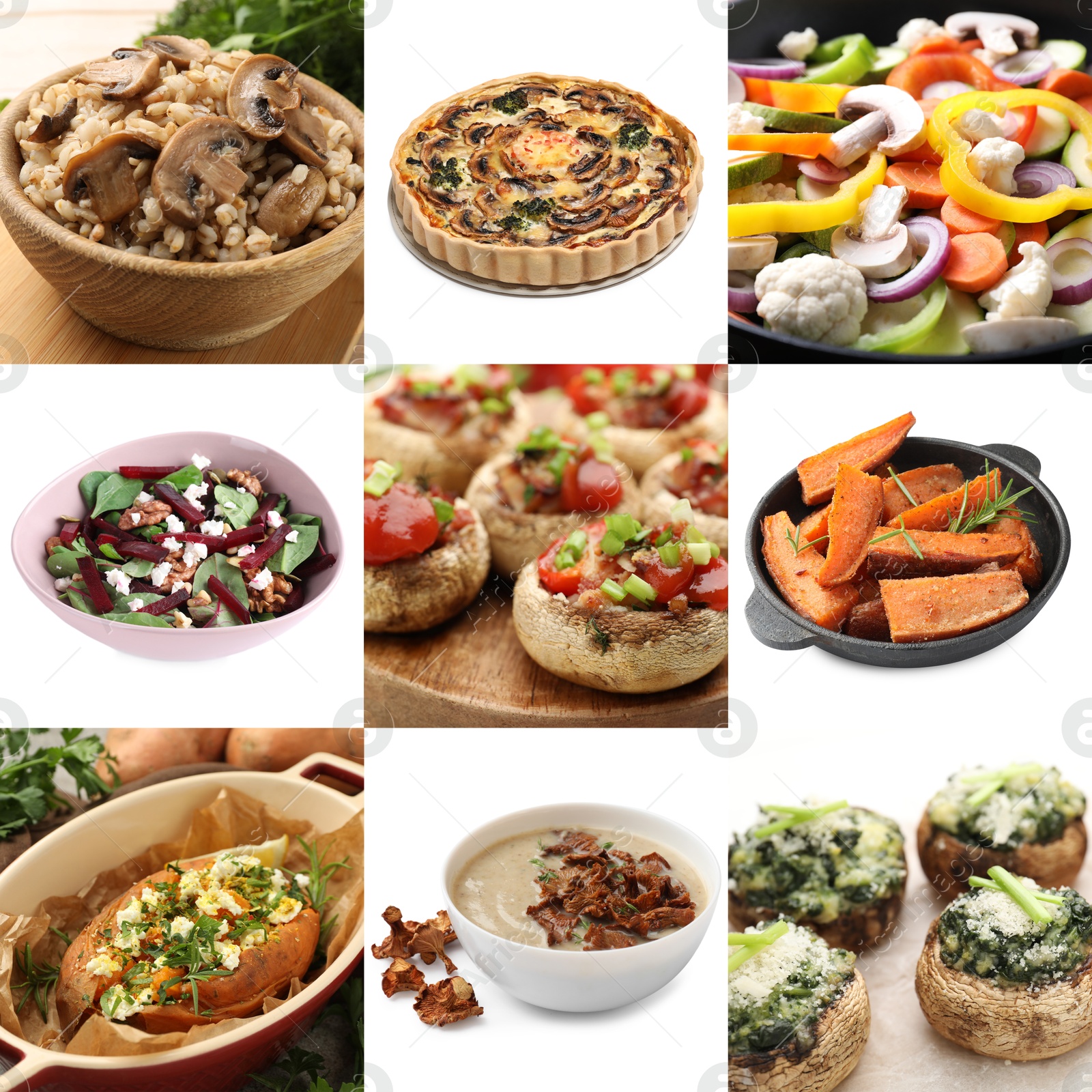 Image of Collection of dishes with earthy taste, collage