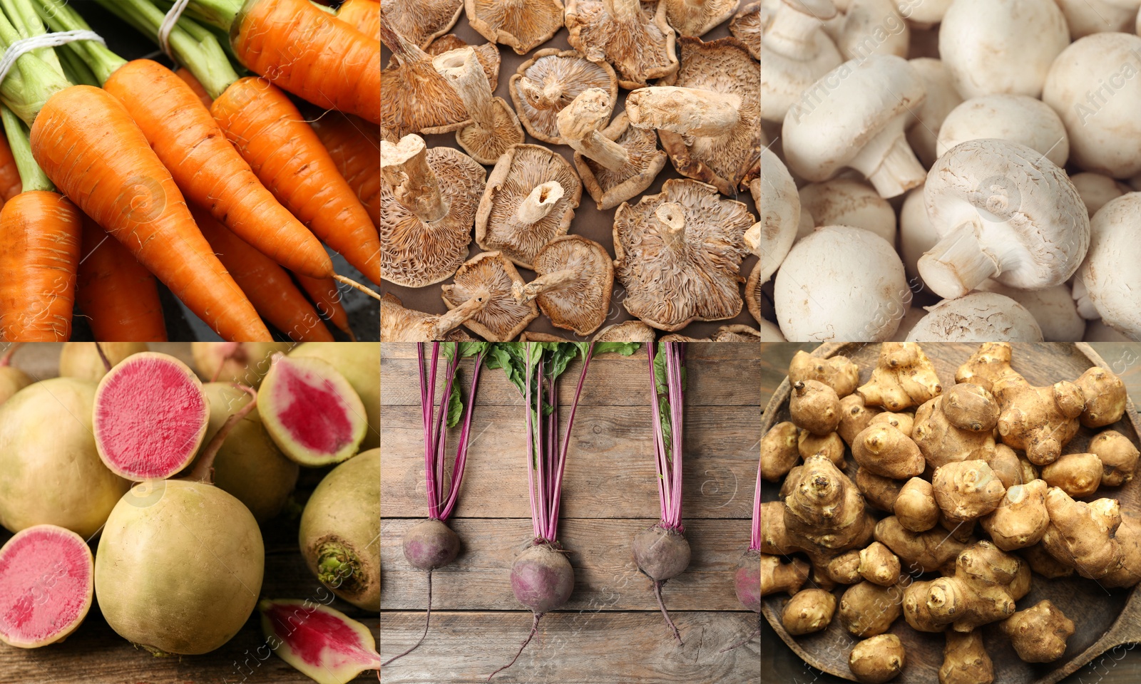 Collection of food products with earthy taste, collage Image of Collection of food products with earthy taste, collage