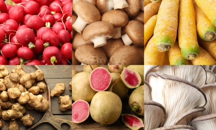 Image of Collection of food products with earthy taste, collage