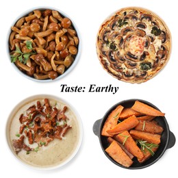 Image of Different dishes with earthy taste isolated on white, set. Top view