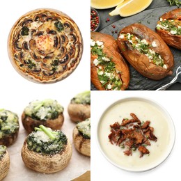 Image of Collection of food products with earthy taste, collage
