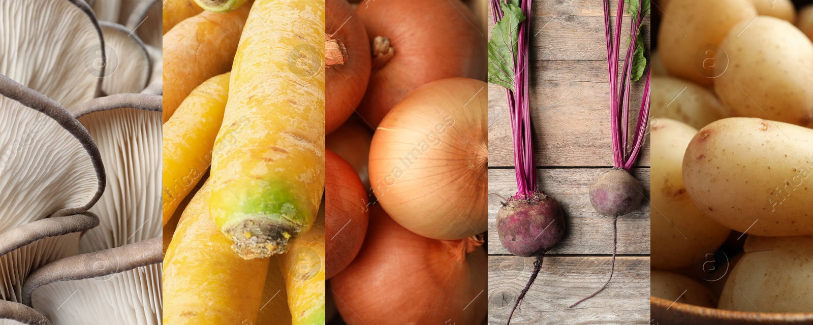 Collection of food products with earthy taste, collage Image of Collection of food products with earthy taste, collage