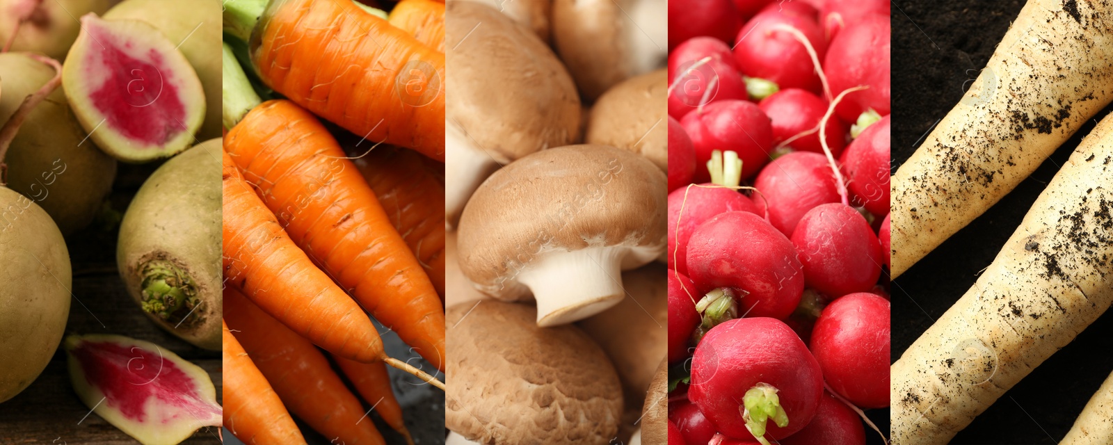Collection of food products with earthy taste, collage Image of Collection of food products with earthy taste, collage