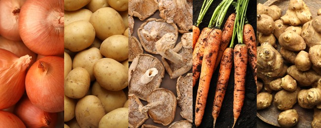 Image of Collection of food products with earthy taste, collage