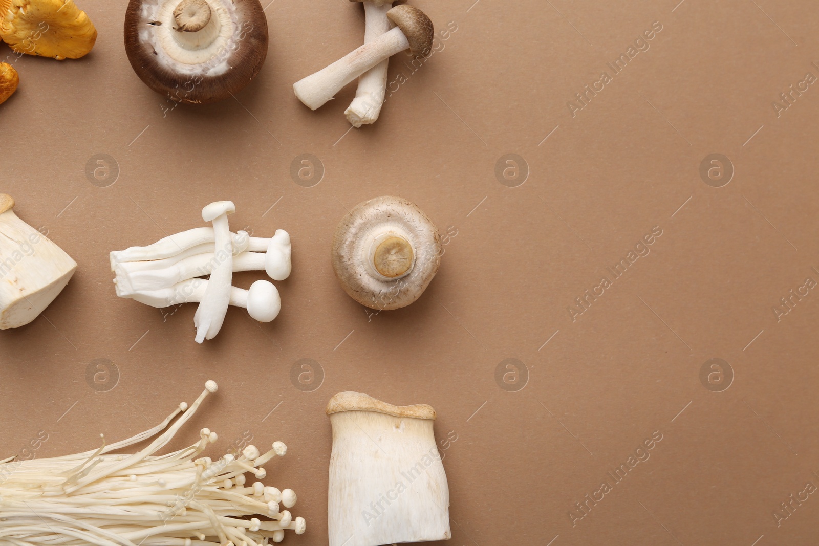 Different raw mushrooms on beige background, flat lay. Space for text Photo of Different raw mushrooms on beige background, flat lay. Space for text