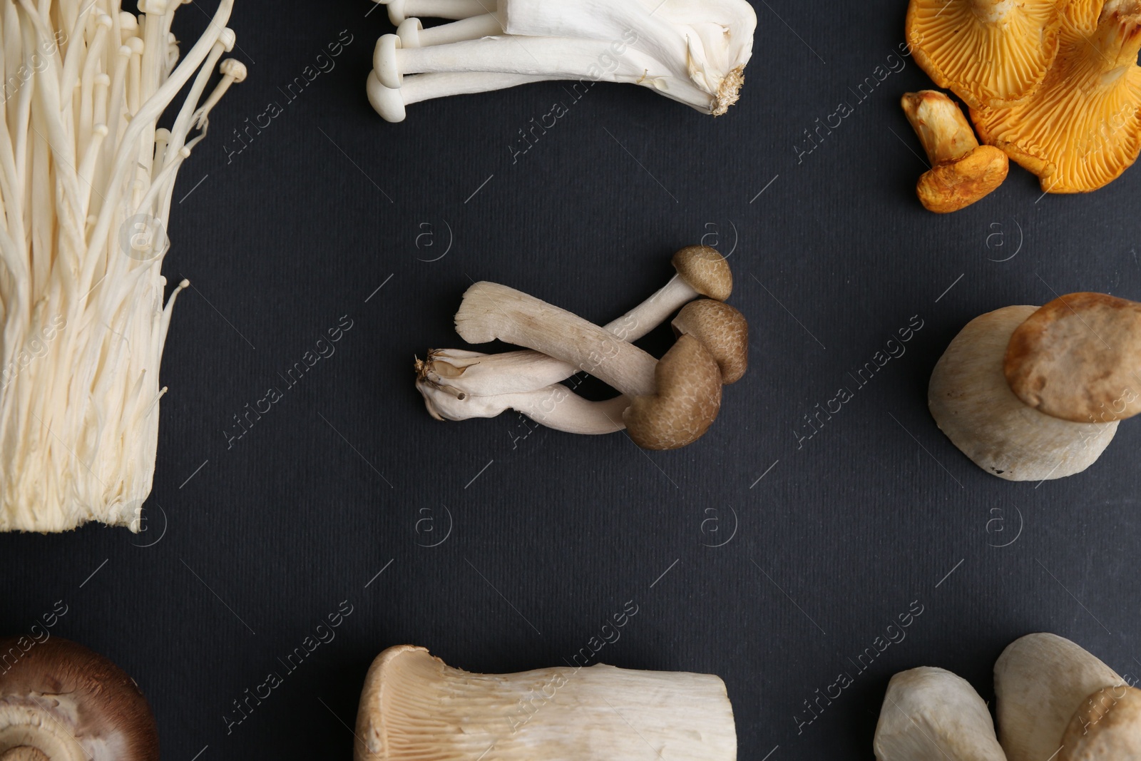 Different raw mushrooms on black background, flat lay Photo of Different raw mushrooms on black background, flat lay