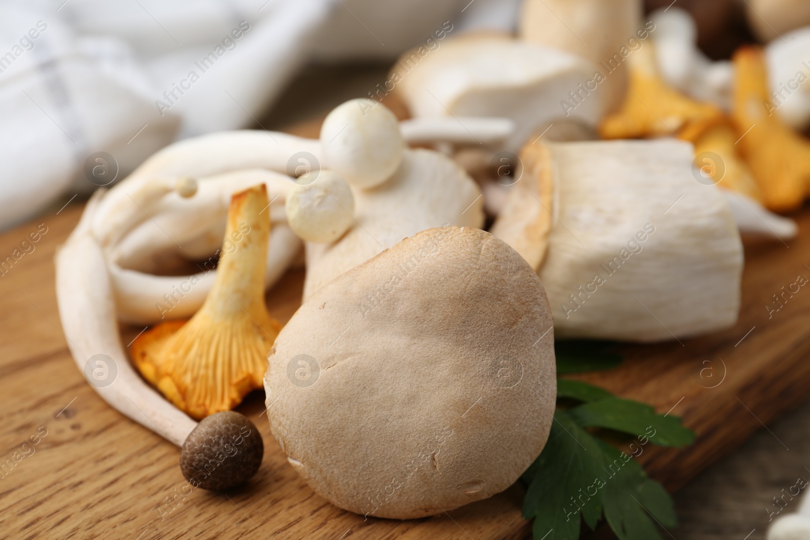 Different raw mushrooms and parsley on wooden table, closeup Photo of Different raw mushrooms and parsley on wooden table, closeup
