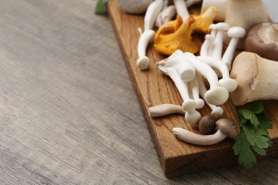 Photo of Different raw mushrooms and parsley on wooden table, closeup. Space for text