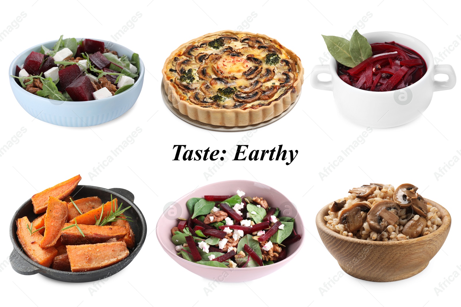 Different dishes with earthy taste isolated on white, set Image of Different dishes with earthy taste isolated on white, set