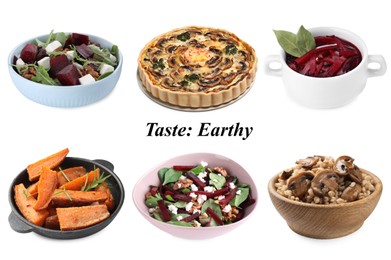 Image of Different dishes with earthy taste isolated on white, set