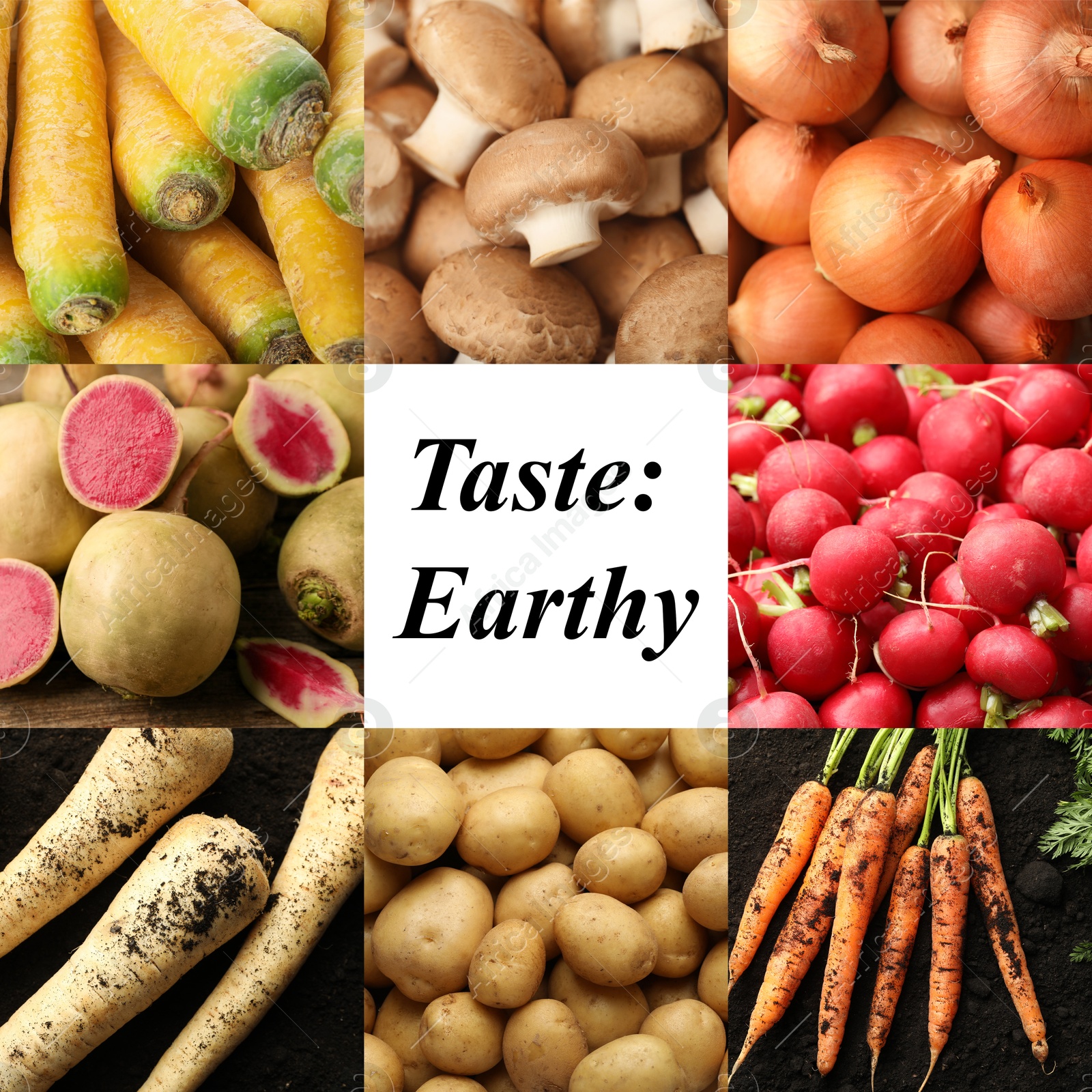 Collection of food products with earthy taste, collage Image of Collection of food products with earthy taste, collage