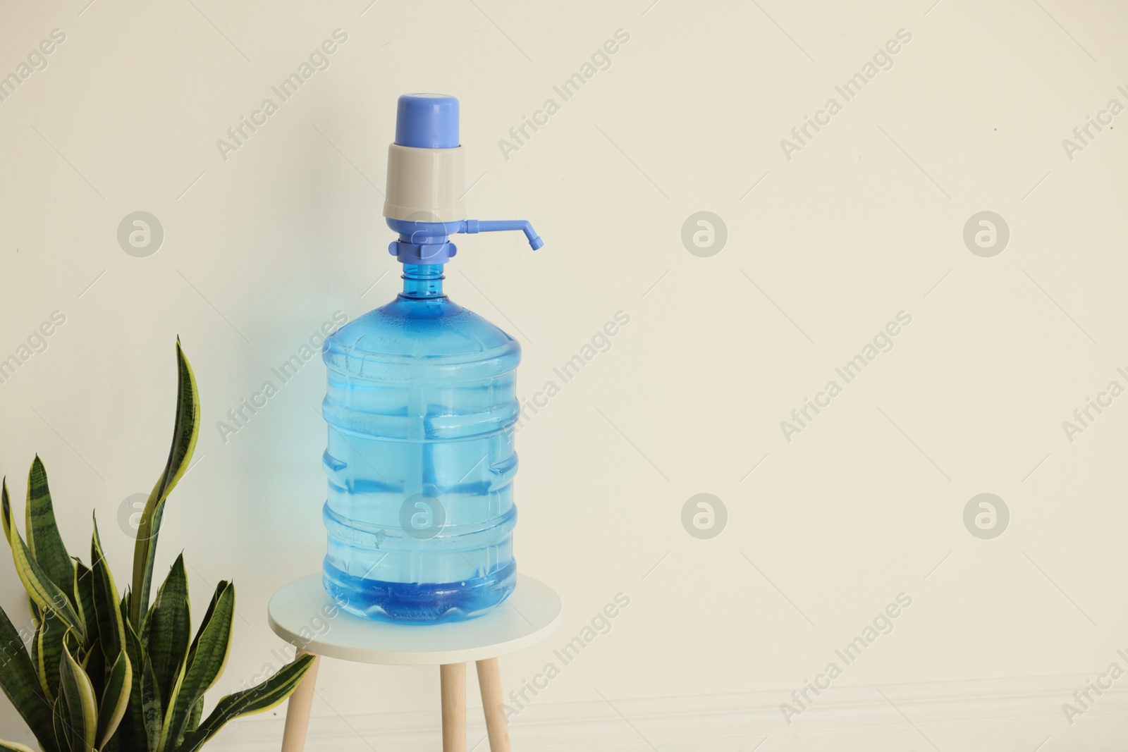 Cooler bottle with water, pump and houseplant near white wall. Space for text Photo of Cooler bottle with water, pump and houseplant near white wall. Space for text