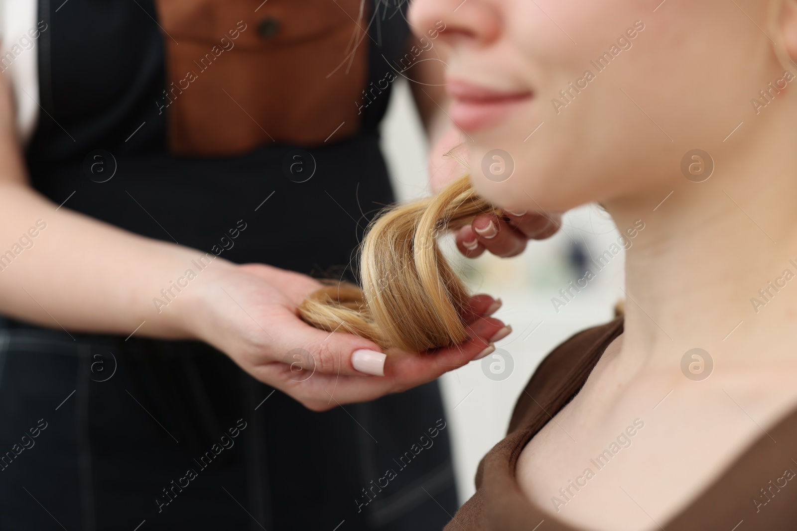 Professional hairstylist working with client in salon, closeup Photo of Professional hairstylist working with client in salon, closeup