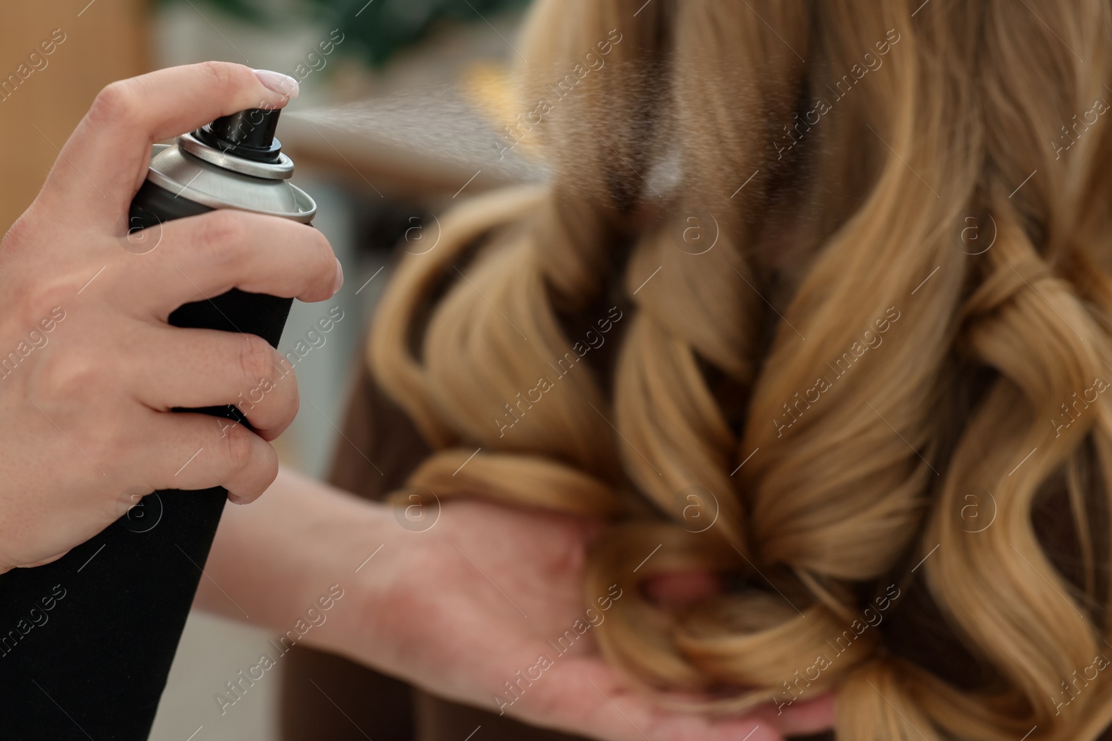 Professional hairstylist working with client in salon, closeup Photo of Professional hairstylist working with client in salon, closeup