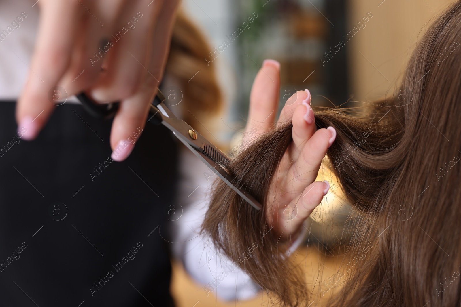 Photo of Hairstylist cutting client's hair with scissors in salon, closeup