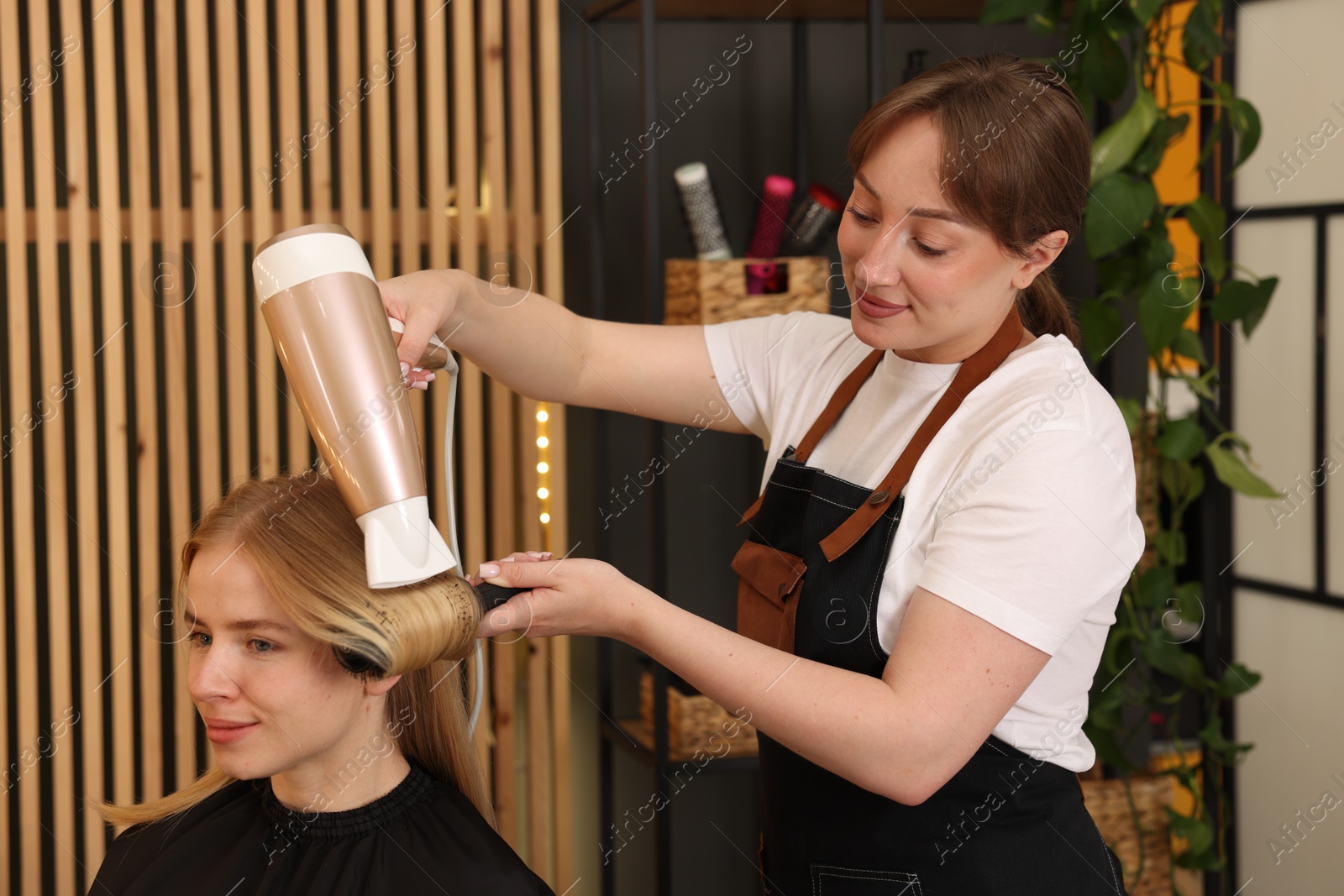 Hairstylist blow drying client's hair in salon Photo of Hairstylist blow drying client's hair in salon