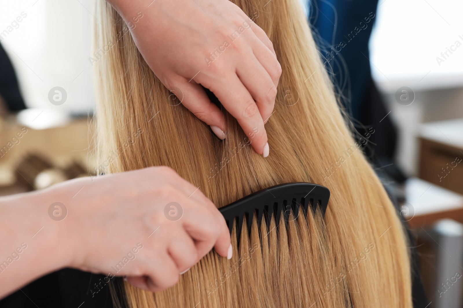 Professional hairstylist combing woman's hair in salon, closeup Photo of Professional hairstylist combing woman's hair in salon, closeup