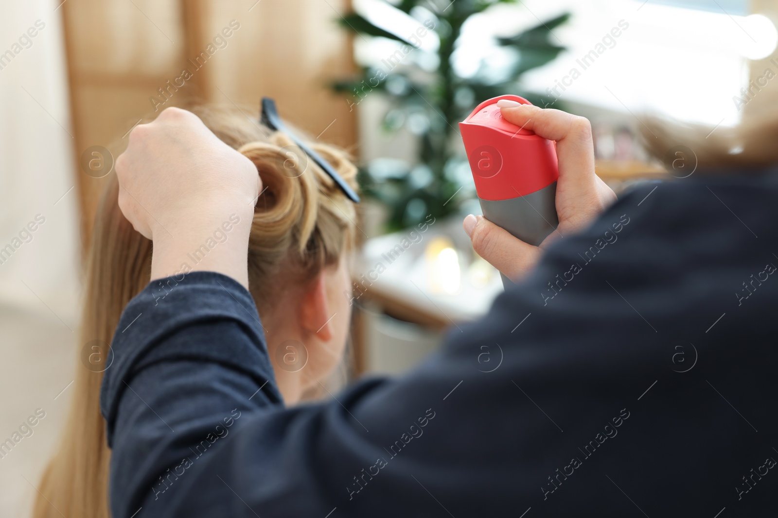 Professional hairstylist working with client in salon, closeup Photo of Professional hairstylist working with client in salon, closeup