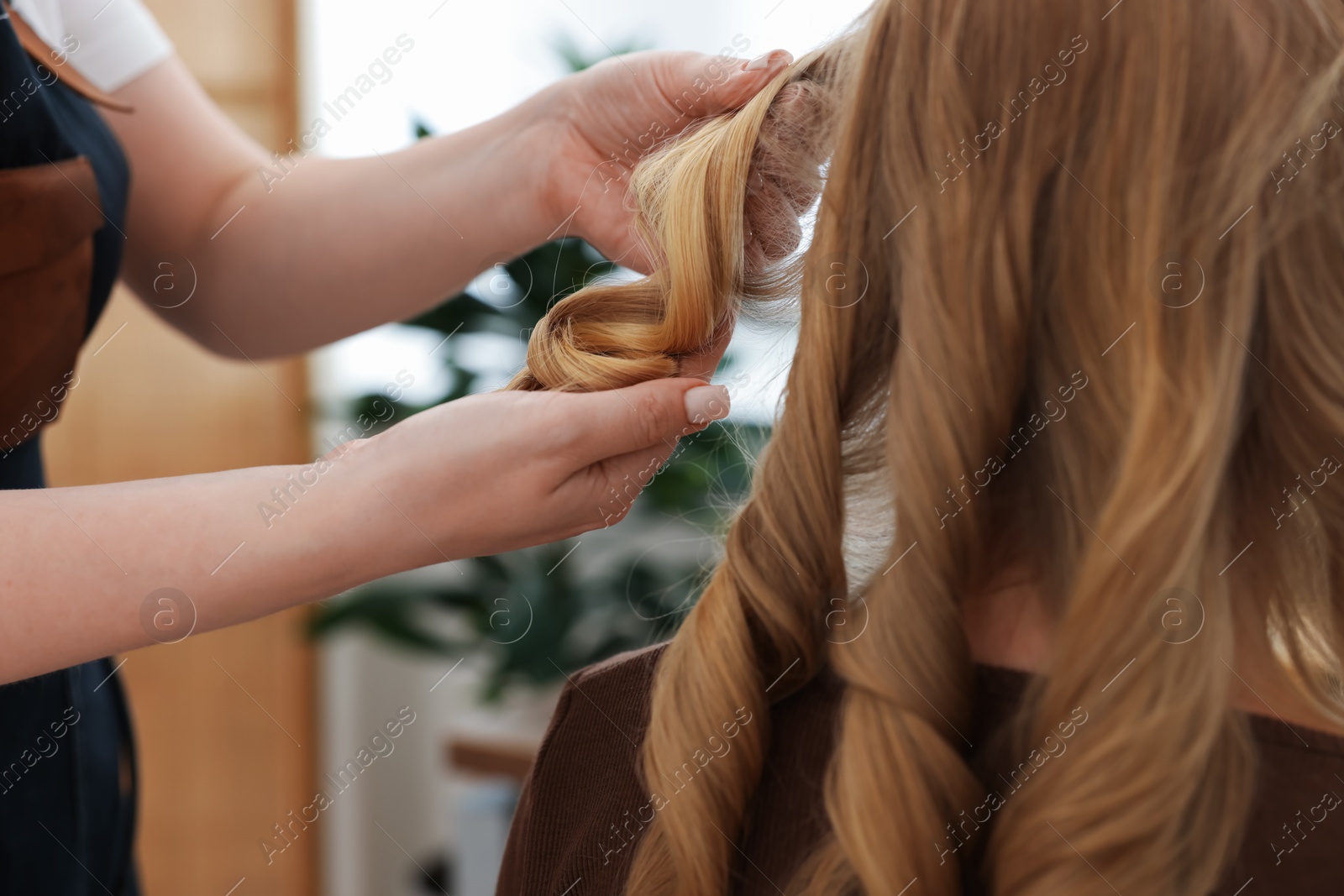 Professional hairstylist working with client in salon, closeup Photo of Professional hairstylist working with client in salon, closeup