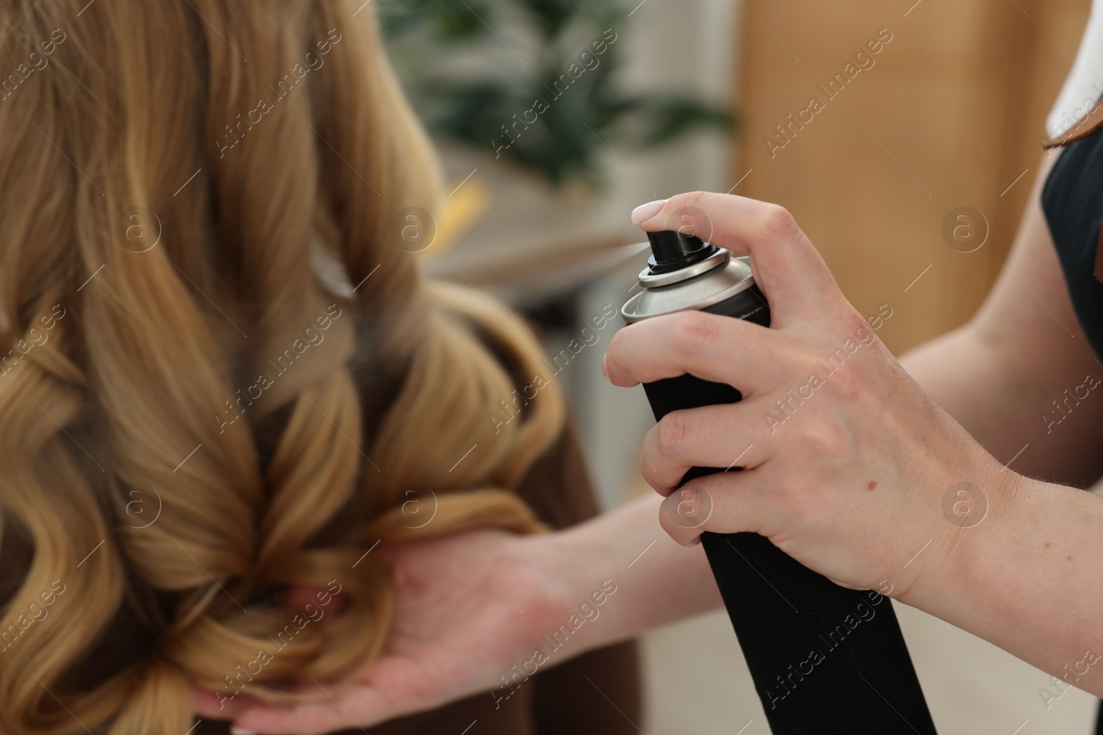 Professional hairstylist working with client in salon, closeup Photo of Professional hairstylist working with client in salon, closeup