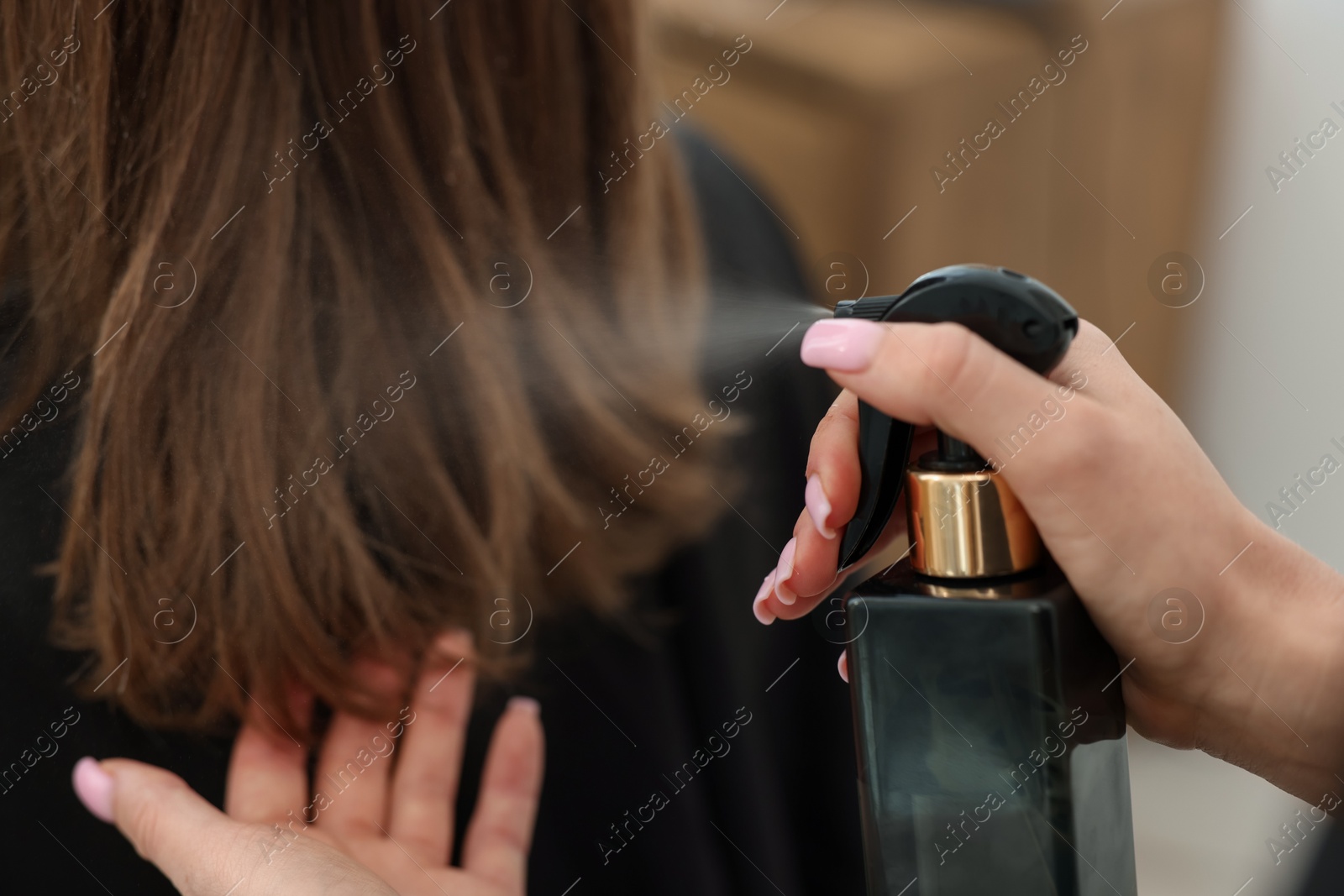 Professional hairstylist working with client in salon, closeup Photo of Professional hairstylist working with client in salon, closeup