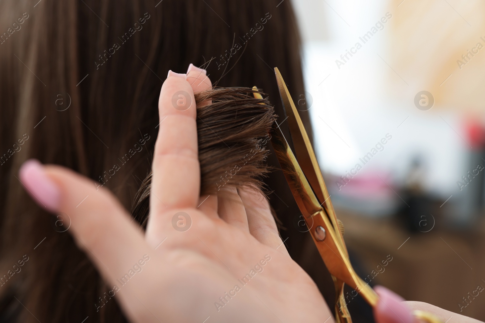 Hairstylist cutting client's hair with scissors in salon, closeup Photo of Hairstylist cutting client's hair with scissors in salon, closeup