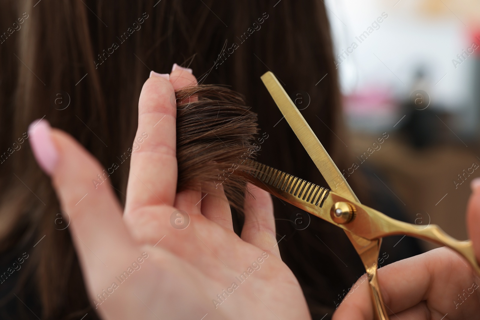 Hairstylist cutting client's hair with scissors in salon, closeup Photo of Hairstylist cutting client's hair with scissors in salon, closeup