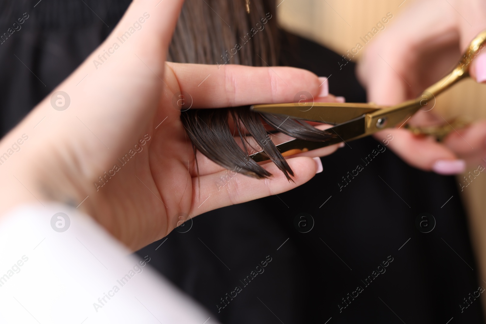 Hairstylist cutting client's hair with scissors in salon, closeup Photo of Hairstylist cutting client's hair with scissors in salon, closeup
