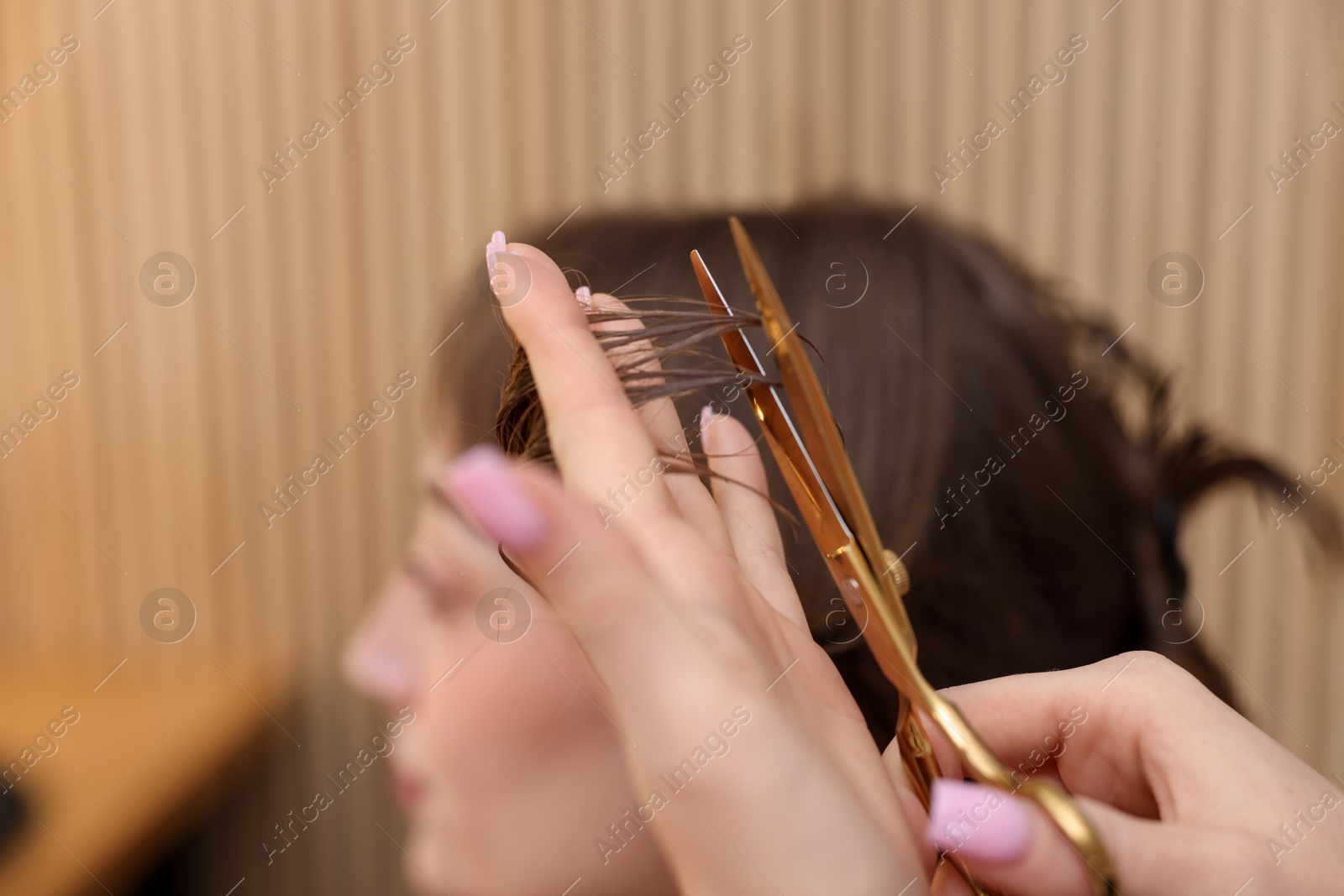 Hairstylist cutting client's hair with scissors in salon, closeup Photo of Hairstylist cutting client's hair with scissors in salon, closeup