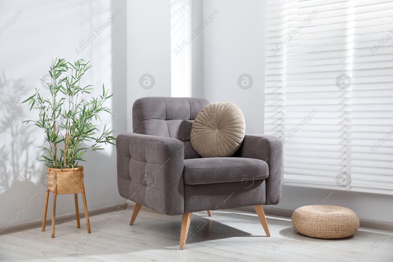 Photo of Comfortable armchair and houseplant in light room