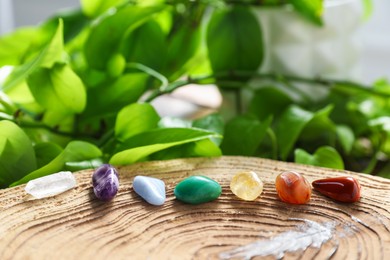 Photo of Aura. Different natural mineral stones on stump and green leaves indoors, closeup