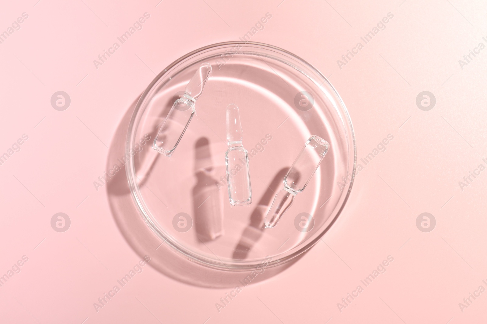 Glass ampoules with cosmetic product and Petri dish on pink background, top view Photo of Glass ampoules with cosmetic product and Petri dish on pink background, top view