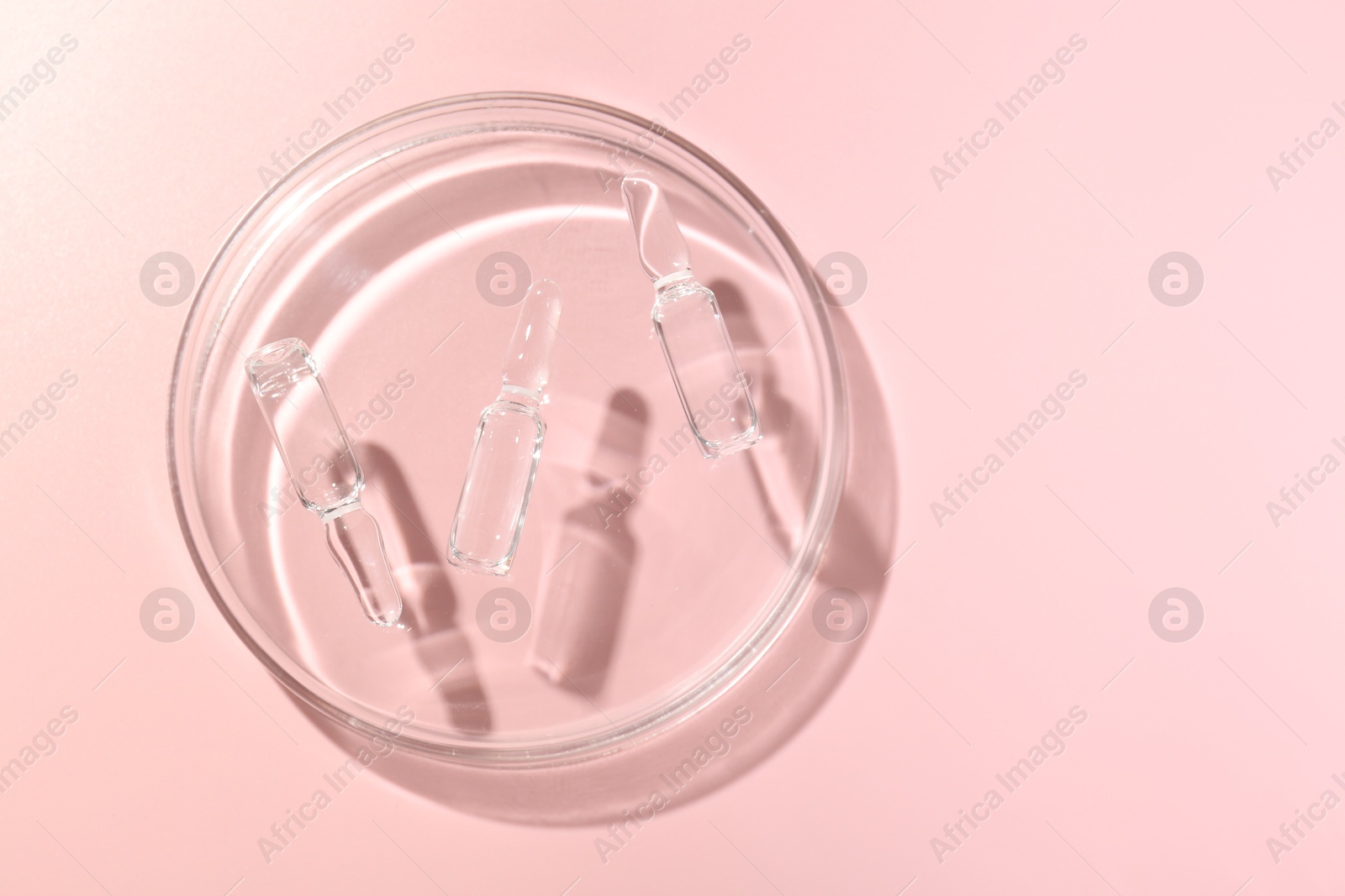 Glass ampoules with cosmetic product and Petri dish on pink background, top view Photo of Glass ampoules with cosmetic product and Petri dish on pink background, top view