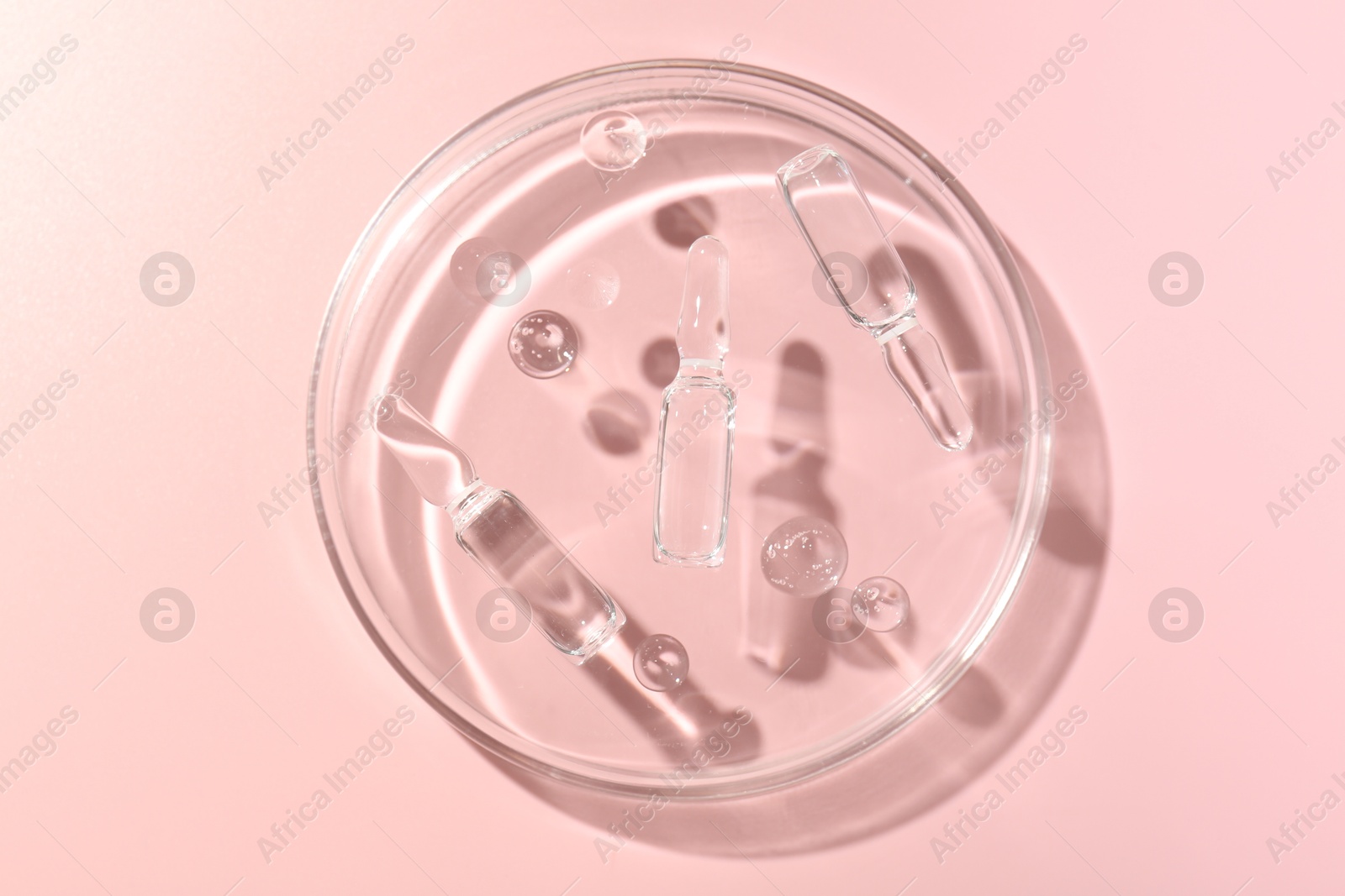 Glass ampoules with cosmetic product and Petri dish on pink background, top view Photo of Glass ampoules with cosmetic product and Petri dish on pink background, top view
