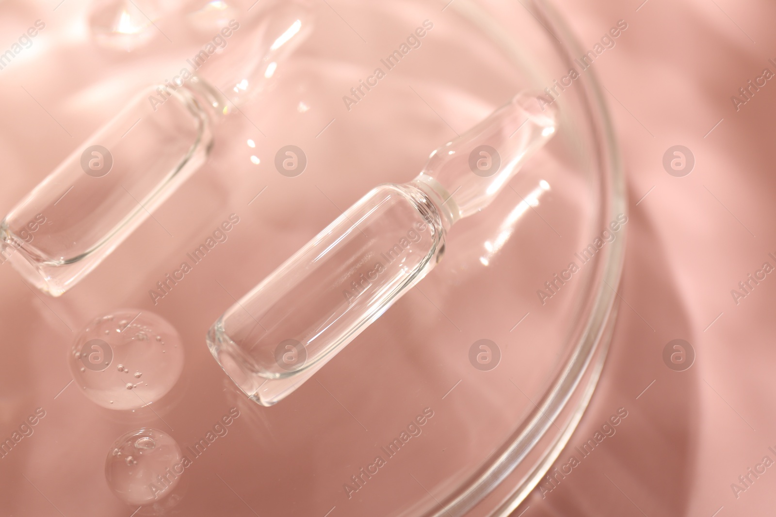 Glass ampoules with cosmetic product and Petri dish on pink background, closeup Photo of Glass ampoules with cosmetic product and Petri dish on pink background, closeup