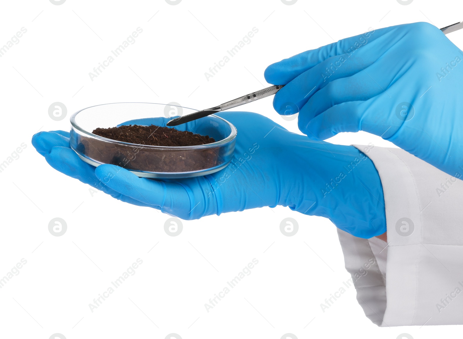 Scientist with soil sample on white background, closeup Photo of Scientist with soil sample on white background, closeup