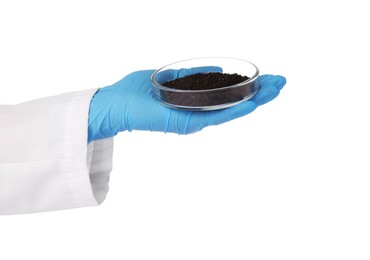 Photo of Scientist holding Petri dish with soil sample on white background, closeup