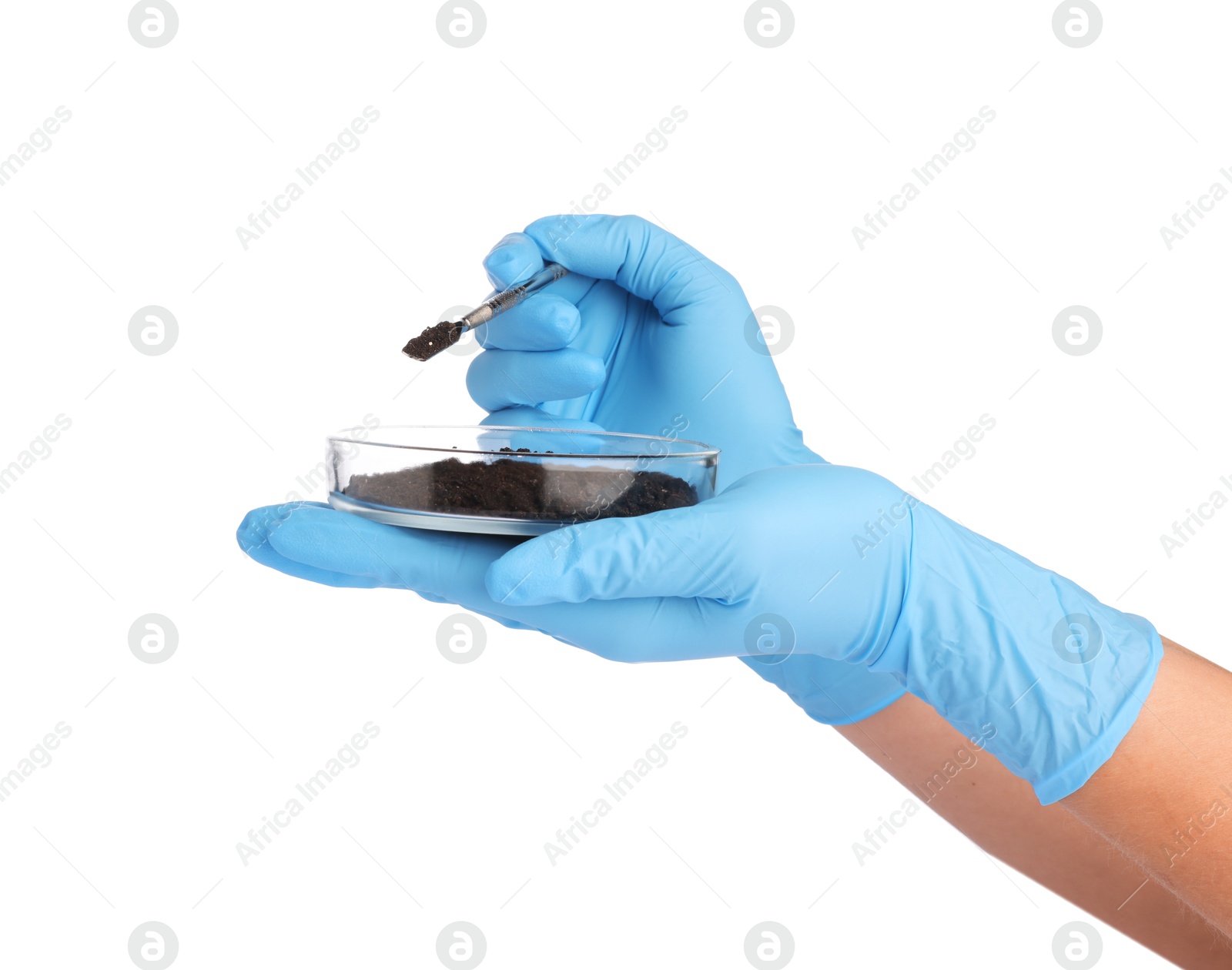 Scientist with soil sample on white background, closeup Photo of Scientist with soil sample on white background, closeup