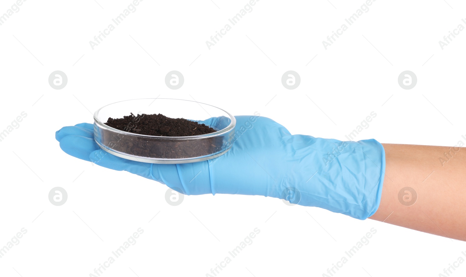 Scientist holding Petri dish with soil sample on white background, closeup Photo of Scientist holding Petri dish with soil sample on white background, closeup