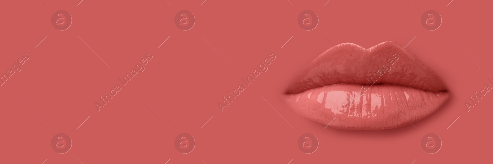 Woman's lips against background matching color of her lipstick. Banner design with space for text Image of Woman's lips against background matching color of her lipstick. Banner design with space for text